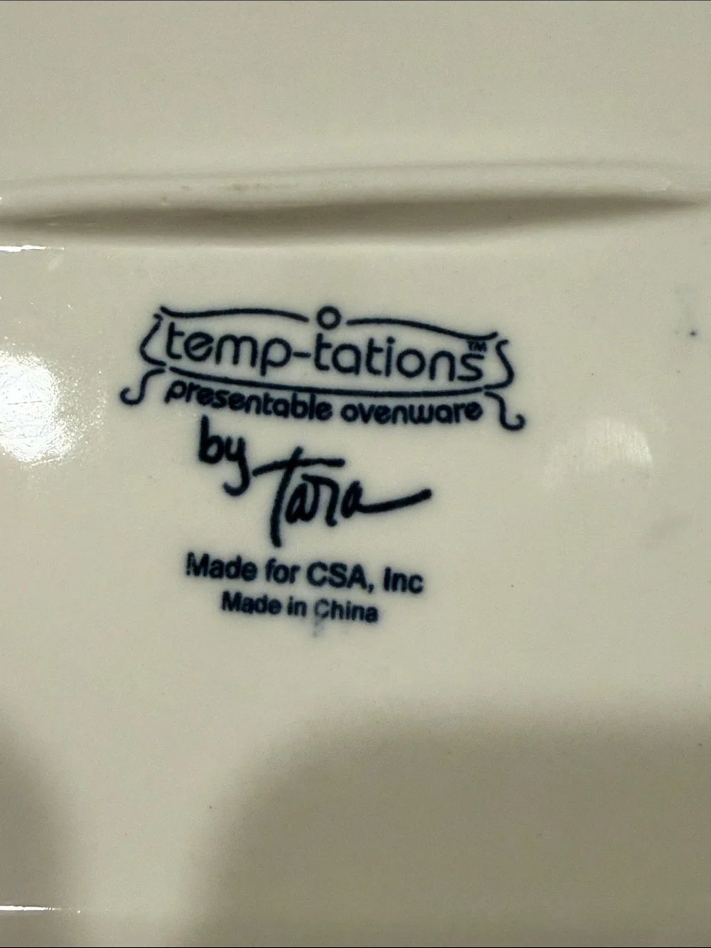 Temp-rations by Tara Decorative Hand-Painted Ceramic Serving Platter